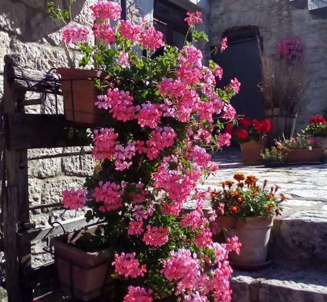 Composizioni di Fiori 4.