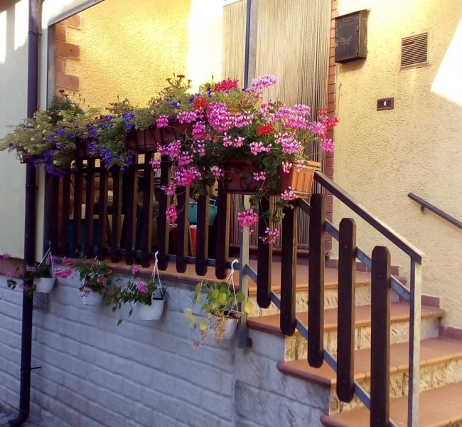 Composizioni di fiori nel Borgo