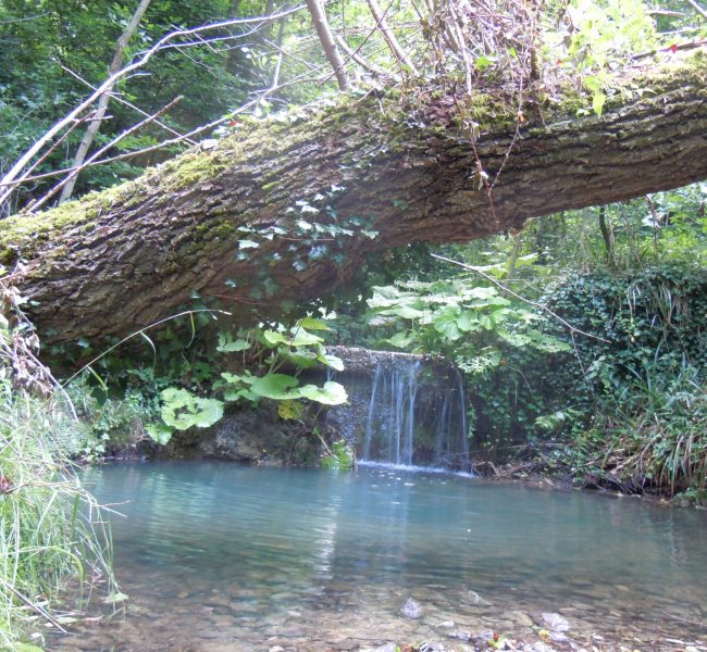 DSCN7810