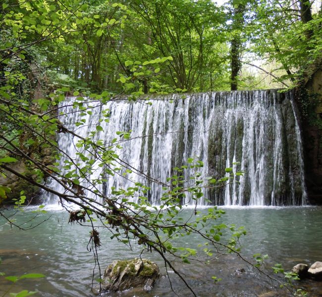 Natura 2.